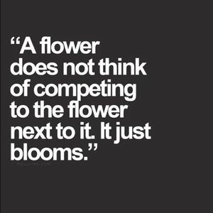 Meet your Posher, Cassandra